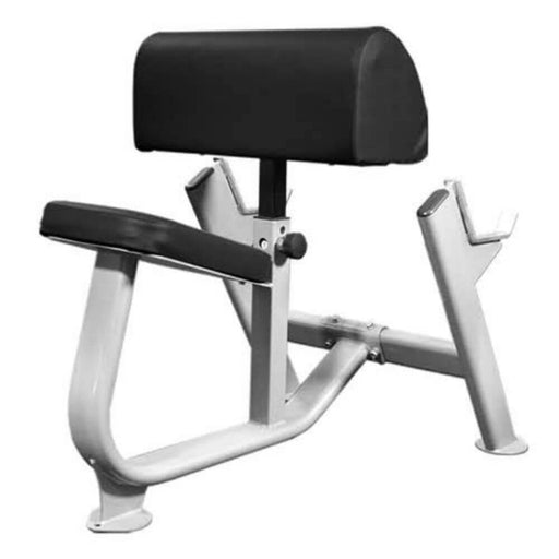 Muscle D Fitness BM-PCB Preachers Curl Bench 3D View