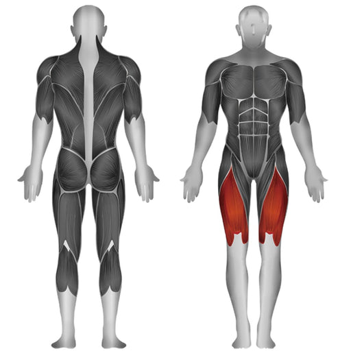 Steelflex JGLE200 Leg Extension Muscle Affected