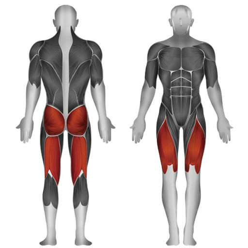 Steelflex JGLP500 Leg Press Muscle Affected