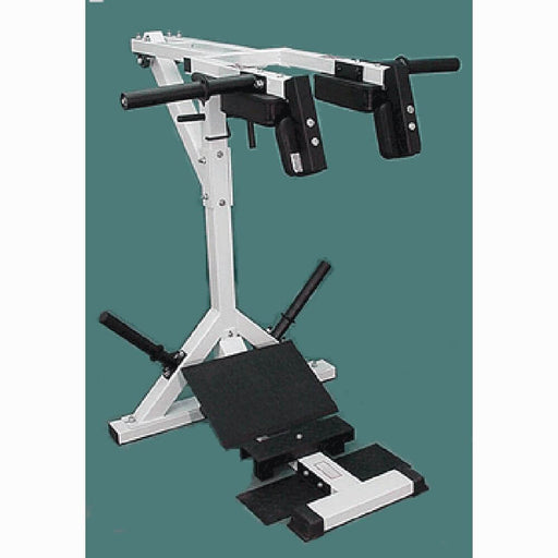 TDS C-PRO91305-W Calf & Squat System 3D View