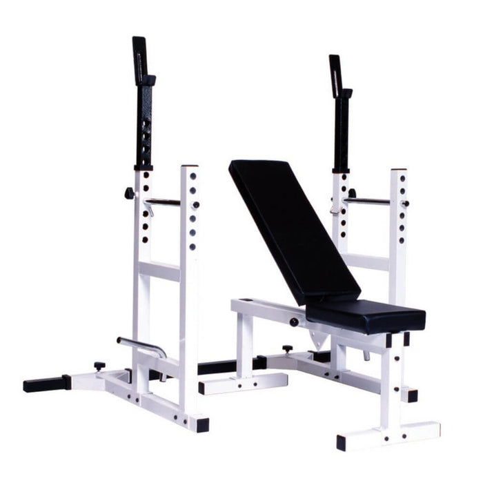 York Barbell 4237 Pro Series 209 With 205 FI Bench plus 204 Cage Attachment