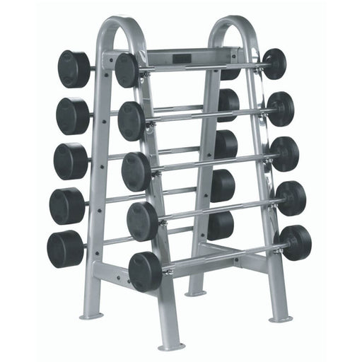 York Barbell 69051 ETS Fixed Straight and Curl Bar Rack 3D View