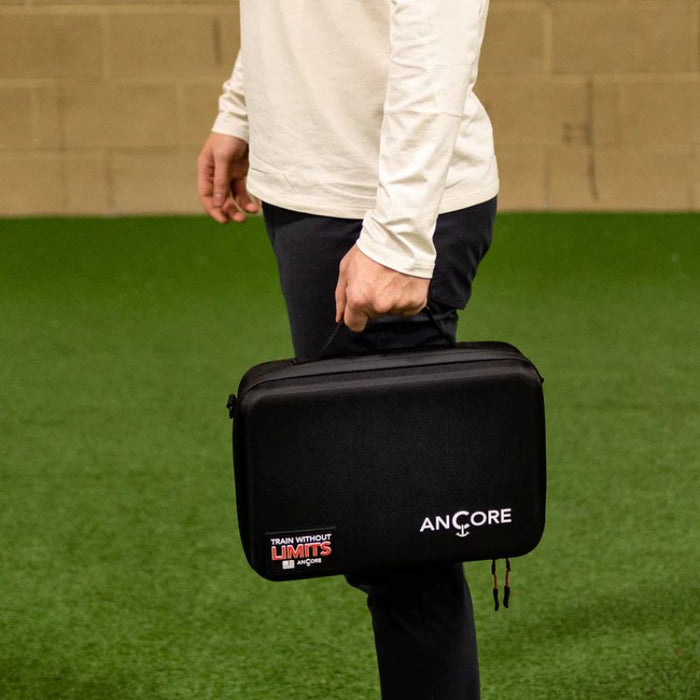 Ancore Carrying Case handheld