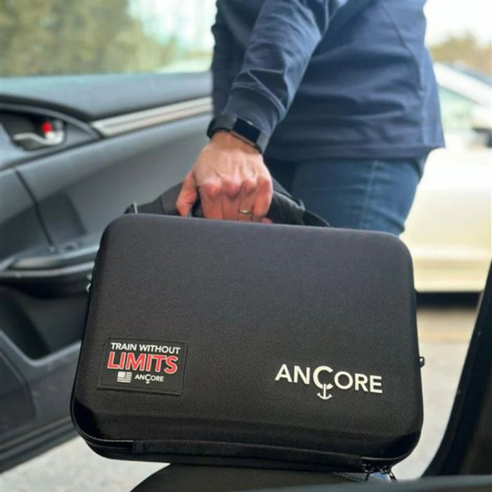 Ancore Carrying Case in car