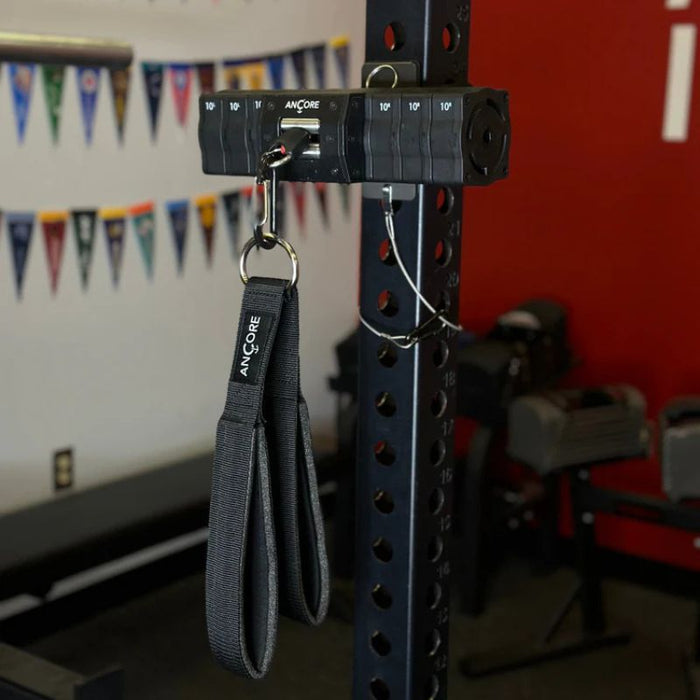 Ancore Multi-Strap