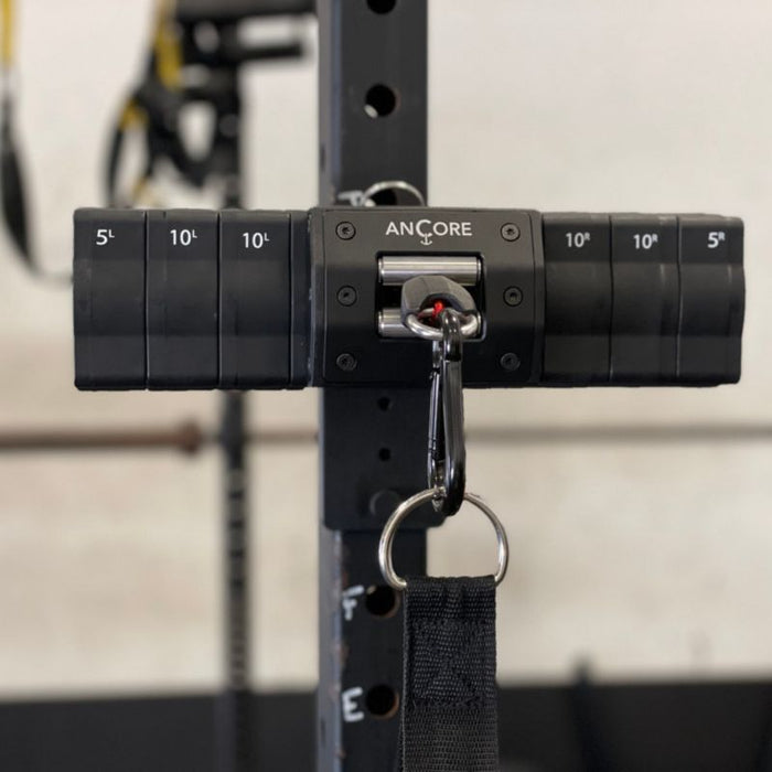 Ancore Rack Mount in use with trainer
