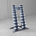 Body-Solid SRD300 Vertical Dumbbell Rack with Cast Iron Dumbbells