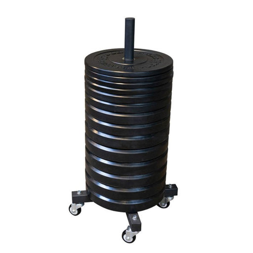 Body-Solid Mobile Bumper Plate Tree GWT86 full load