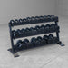 Body-Solid Pro Clubline Dumbbell Rack SRD200 With Round Rubber Dumbbells
