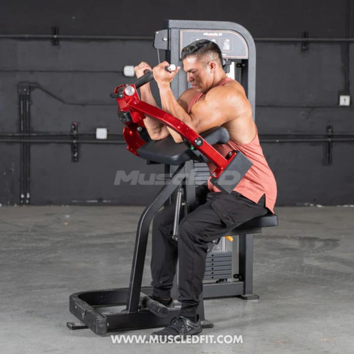 Muscle D Classic V2 Biceps Curl top position male