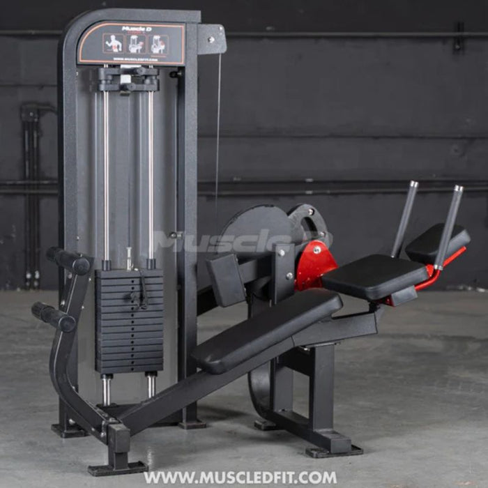 Muscle D Classic V2 Ab Crunch