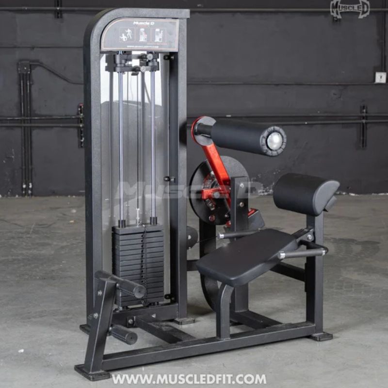 Muscle D Classic V2 Ab Back