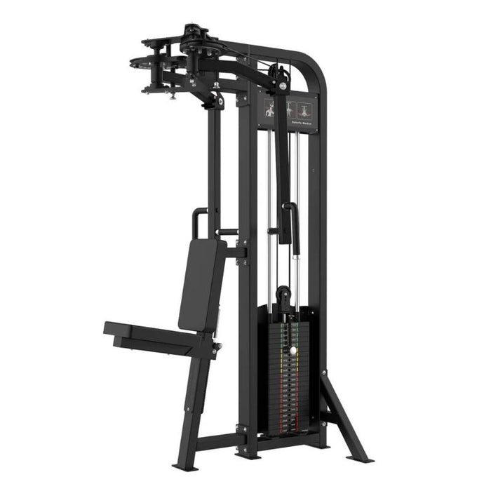 Muscle D Excel Pec Deck Rear Delt