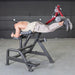 Muscle D Power Leverage V2 Reverse Hyperextension Male User Top Position