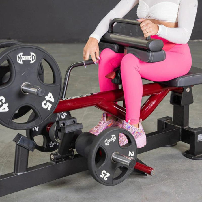 Muscle D Power Leverage V2 Seated Calf Tib lower leg closeup