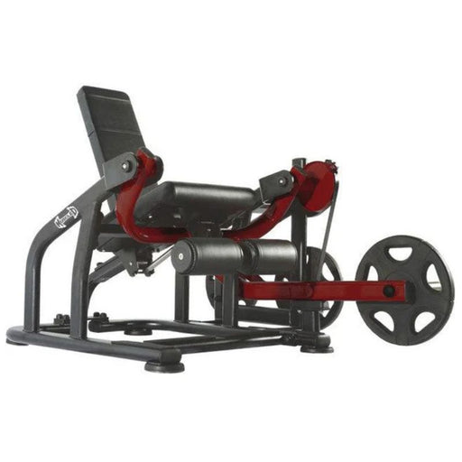 Muscle D Pro Strength Leg Extension