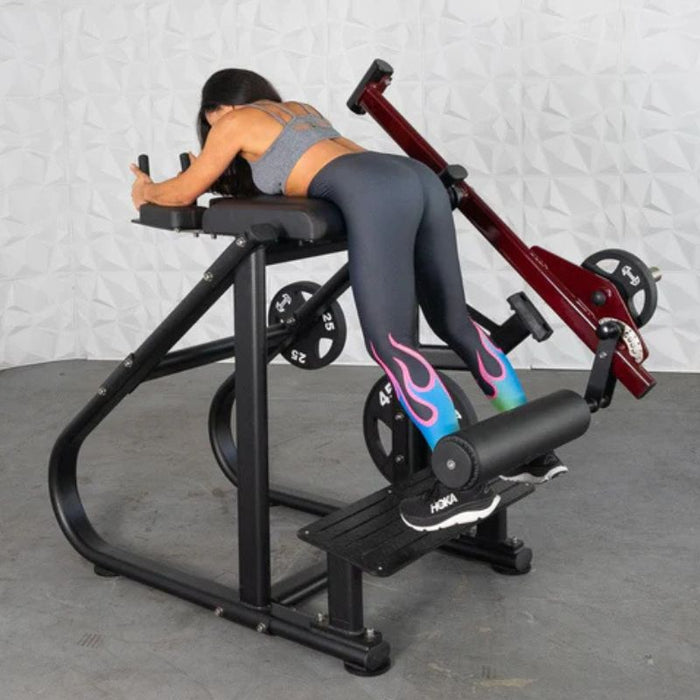 Muscle D Pro Strength Reverse Hyper female start position