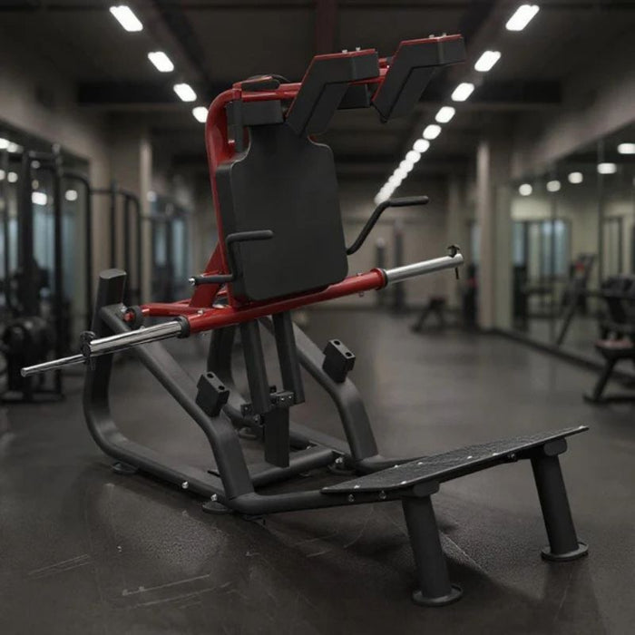 Muscle D Pro Strength Squat gym rear view