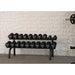 Muscle D Pro Urethane Dumbbells Paired On Rack
