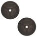 Troy Premium Cast Iron Olympic 100lb Plate Pair