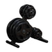 Body-Solid Tools OWT24 Olympic Plate Tree 3D View With Weights