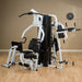 Body-Solid VKR30 Vertical Knee Raise Station 3D View