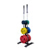 Body-Solid GWT56 Olympic Weight Tree and Bar Holder With Colored Plates