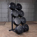 Body-Solid GWT76 Capacity Olympic Weight Tree 4 Tier Colored Plates