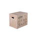 Body-Solid Tools BSTWPBOX 3-in-1 Wooden Plyo Box 3D View