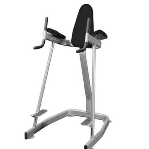 Muscle D Fitness BM-VKR Elite Series Vertical Knee Raise 3D View