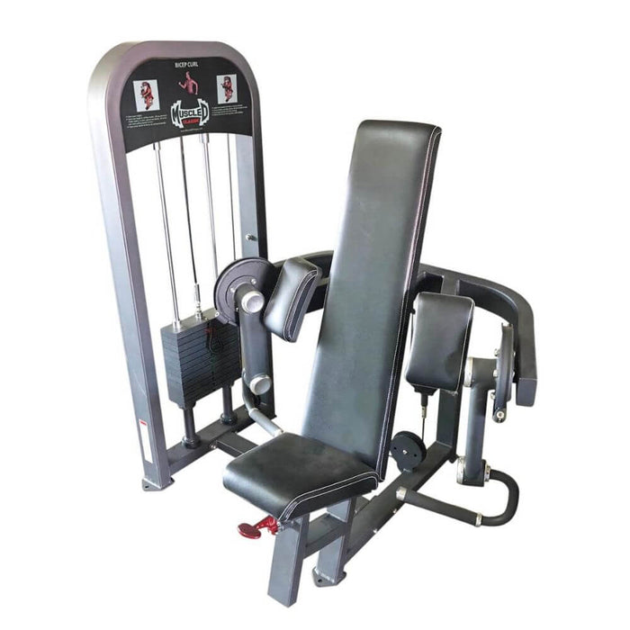 Muscle D Fitness MDC-1010 Classic Line Bicep Curl 3D View