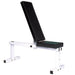 York Barbell 4223 Pro Series 205 FI White Flat Adjustable Incline Bench Press 3D View