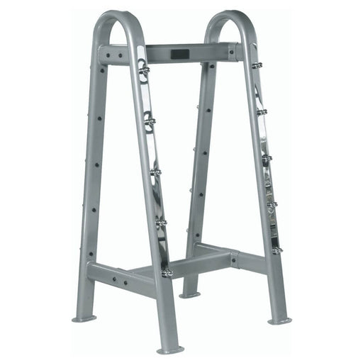 York Barbell 69051 ETS Fixed Straight and Curl Bar Rack