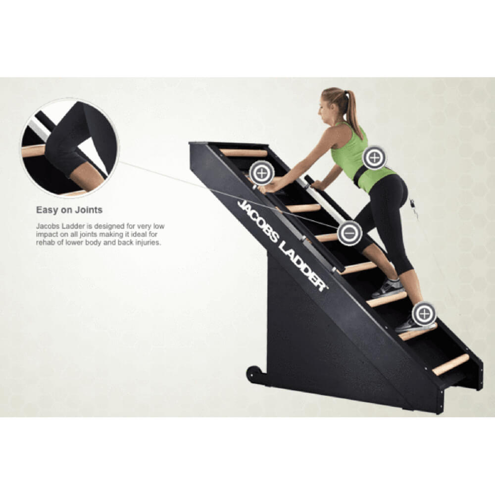 Gym Jacob's Ladder Cardio Machine Jacobs Ladder Stairway