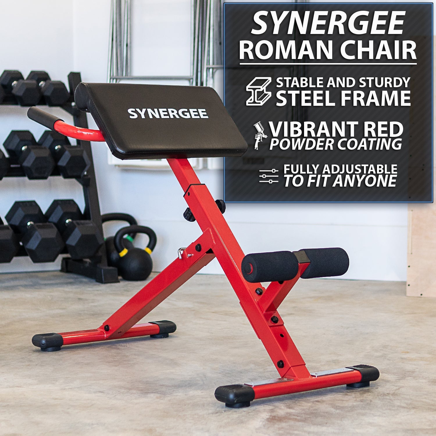 Synergee Roman Chair — Strength Warehouse USA
