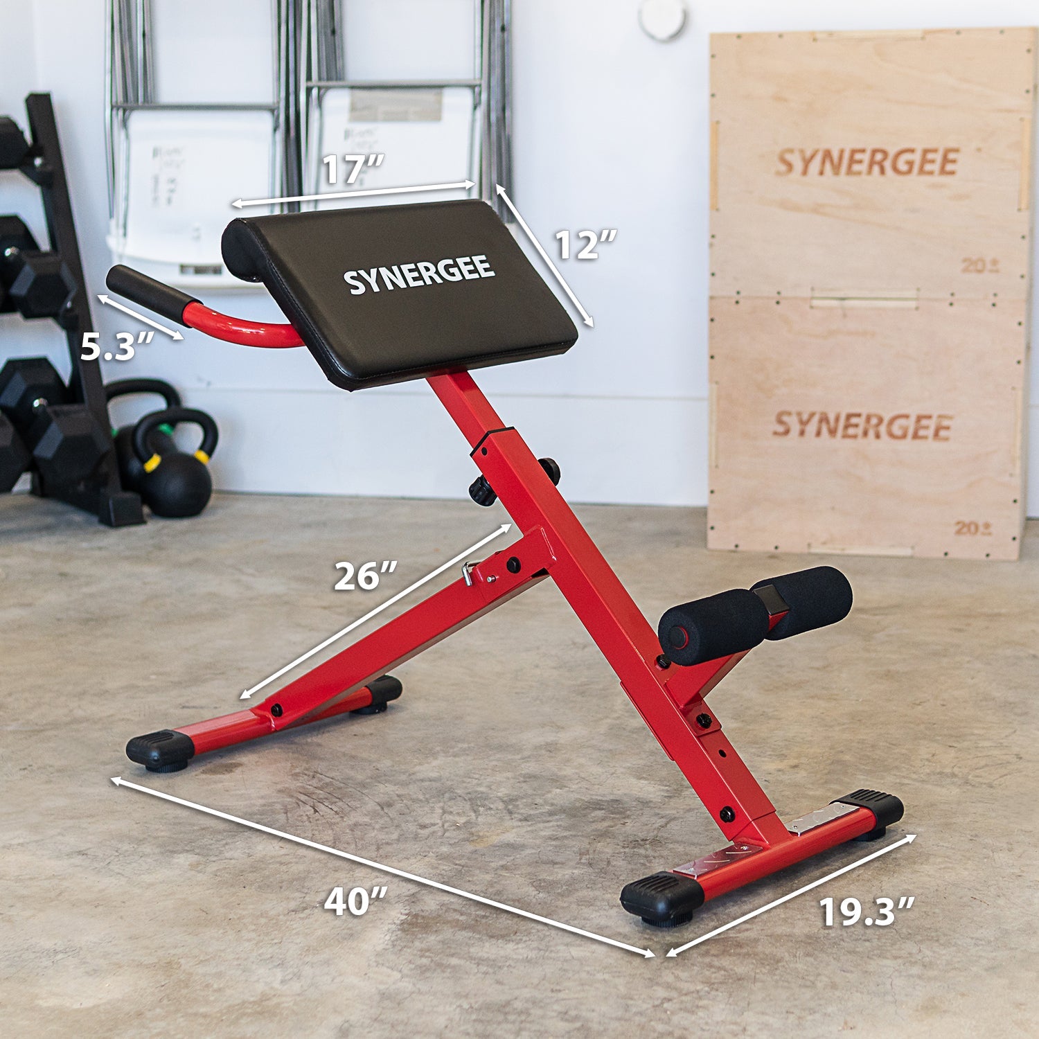 Synergee Roman Chair — Strength Warehouse USA