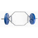York Barbell Hex Trap Bar 32034 with Blue 35lb York Bumper Plates